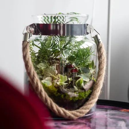 Rose Valley דירה