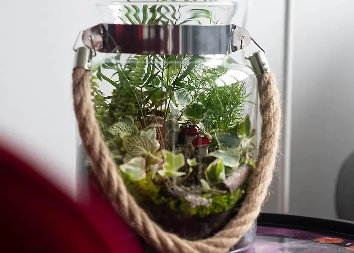 Rose Valley Apartamento